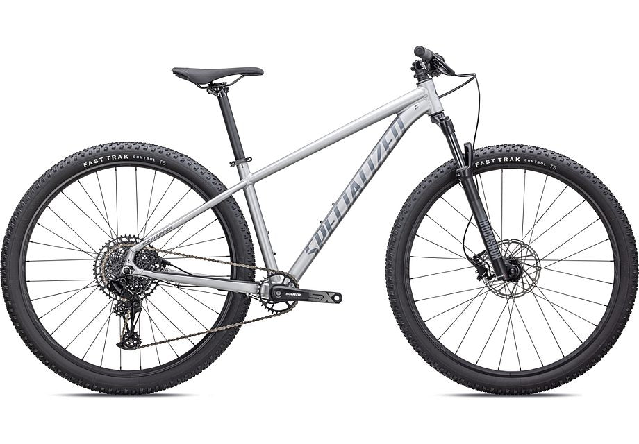 2024 Specialized rockhopper expert 29 bike satin silver dust / black holographic l