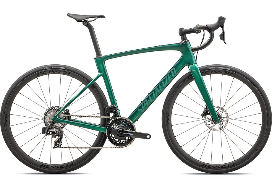 2025 Specialized roubaix pro bike gloss metallic pine 49