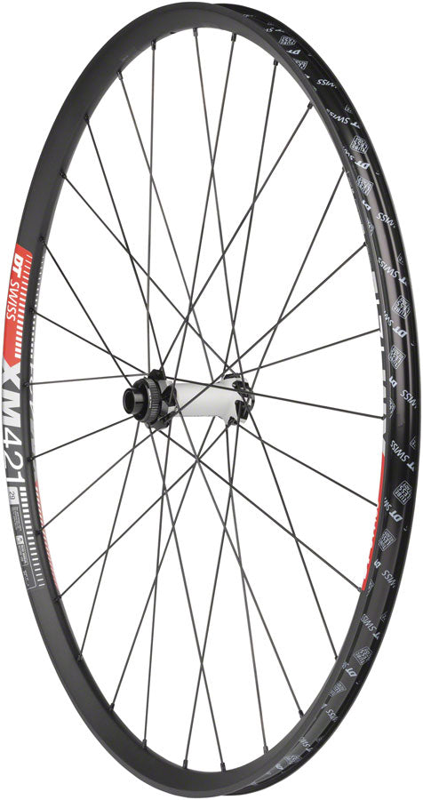 DT Swiss  350/XM421 Front Wheel - 29" 15 x 110mm Center Lock Black