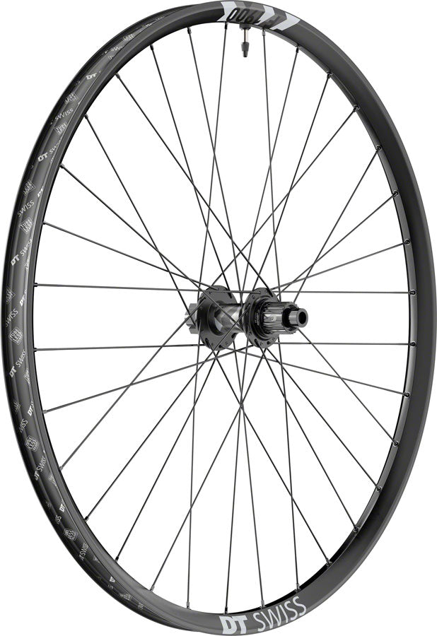 DT Swiss F 1900 Classic Rear Wheel - 29" 12 x 148mm 6-Bolt Micro Spline Ratchet LN 18 BLK