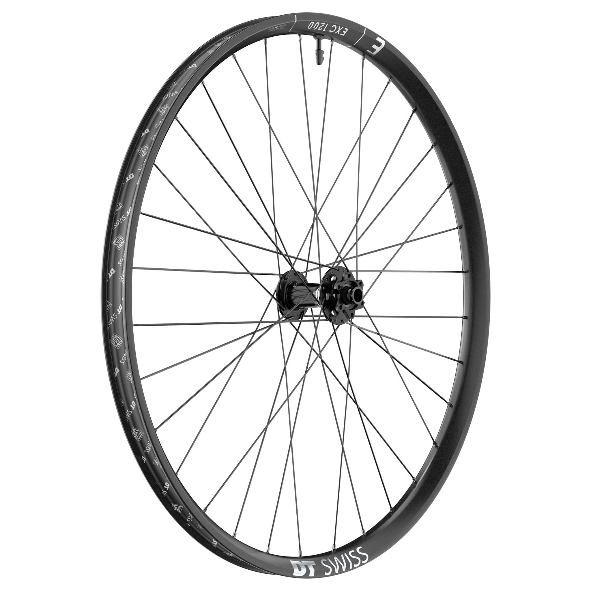 DT Swiss EXC 1200 Classic Front Wheel - 29" 15 x 110mm 6-Bolt Black